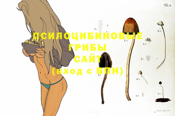 гашик Слюдянка