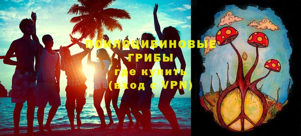 гашик Слюдянка