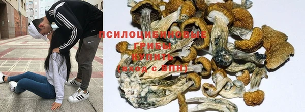 амф Снежинск