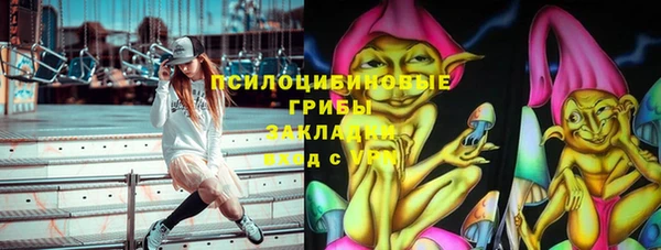 гашик Слюдянка