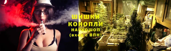 скорость Снежногорск