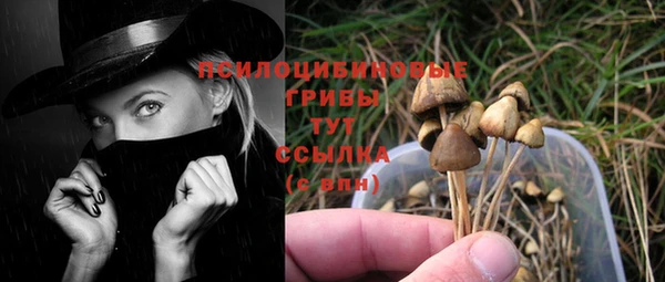 амф Снежинск